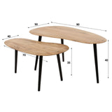 Organic coffee table Elvie Set of 2 Acaciahout