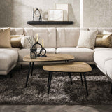 Coffee table set 2 Belle organic metal gold