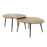 Arno Coffee Table Set of 2 €77-€60 organically antique gold 