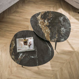 Niora Organische Salontafel Set van 2 Keramiek Fossil Black