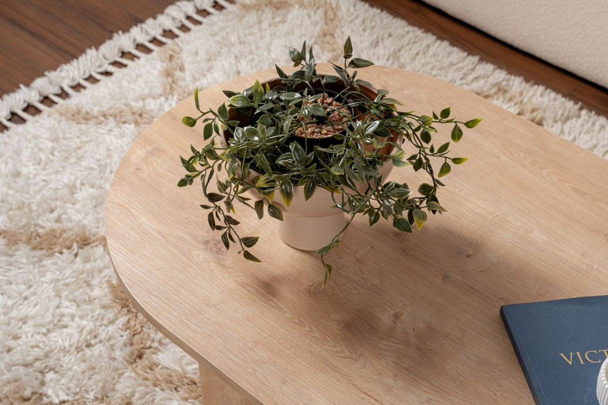 Oval Coffee Table Sapphire Oak Look Sabla - 119x60 